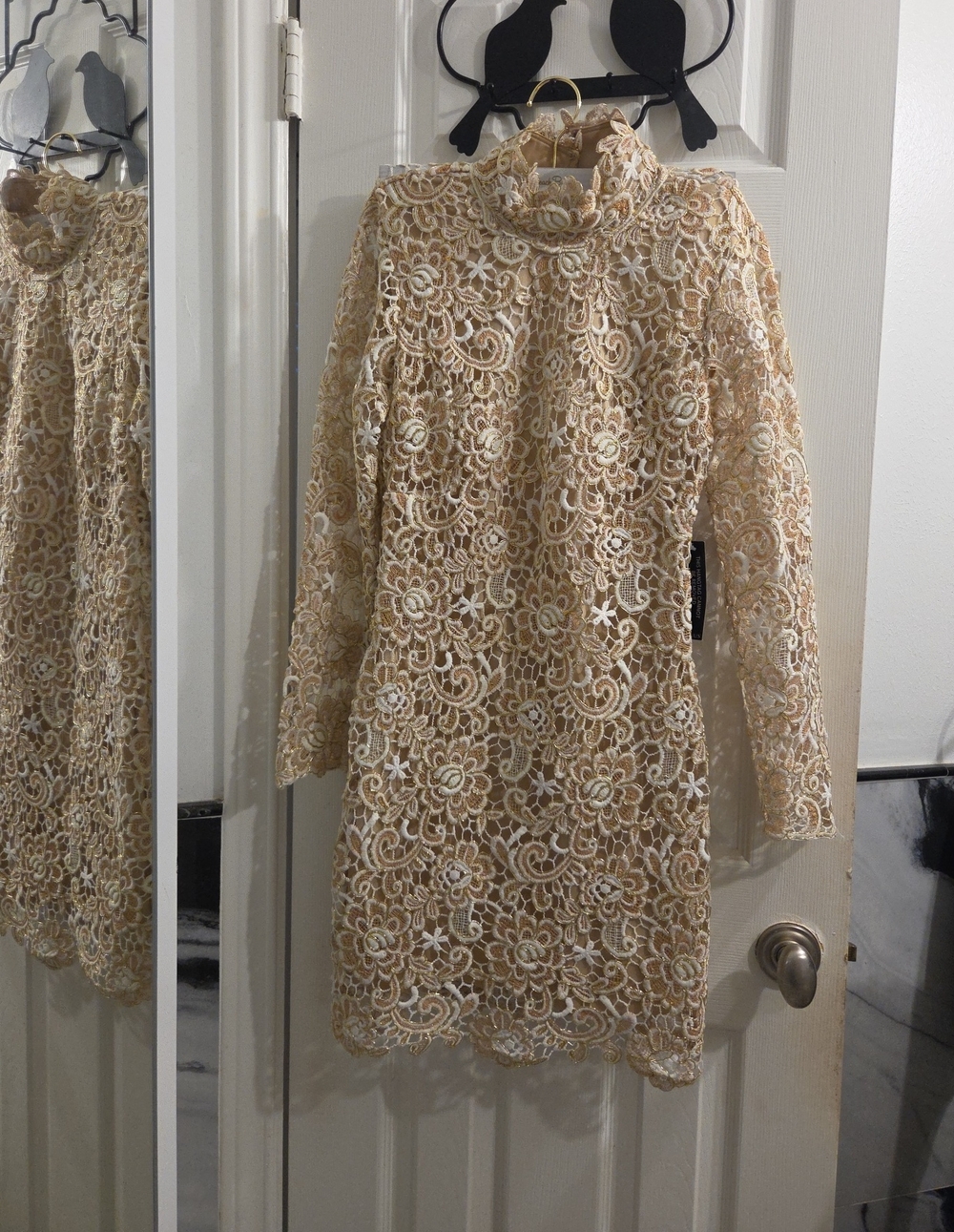 Venus Elegant Cream Lace Long-Sleeve Mini Dress